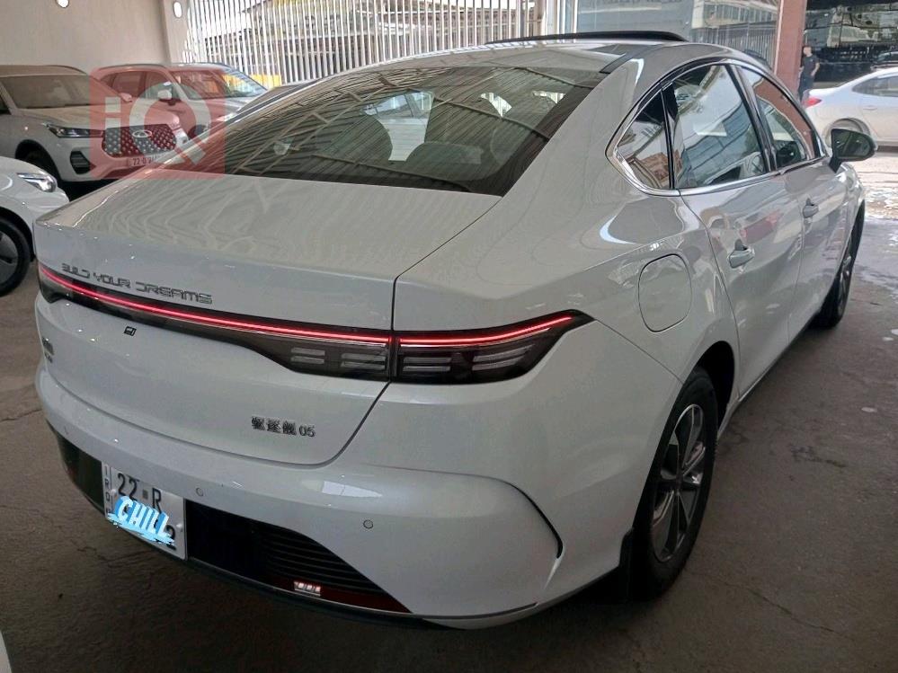 بي واي دي ديستروير 05